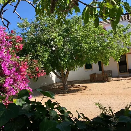 Chalet Quinta Da Palmeirinha Silves