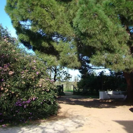Quinta Da Palmeirinha * Silves