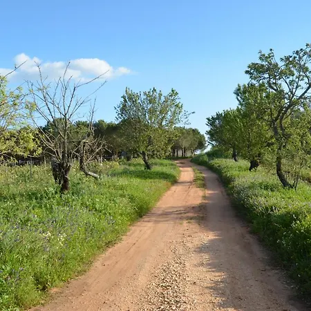 Quinta Da Palmeirinha Alpehytte Silves