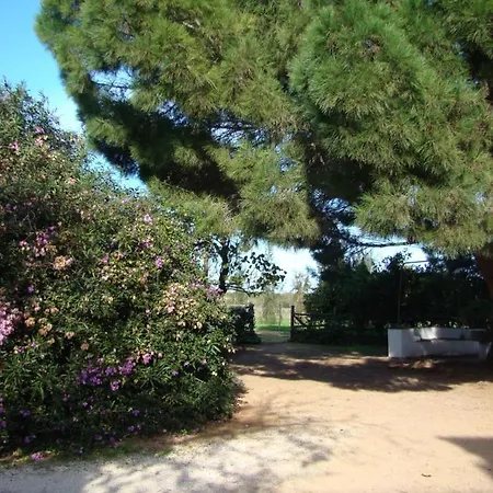 Quinta Da Palmeirinha *